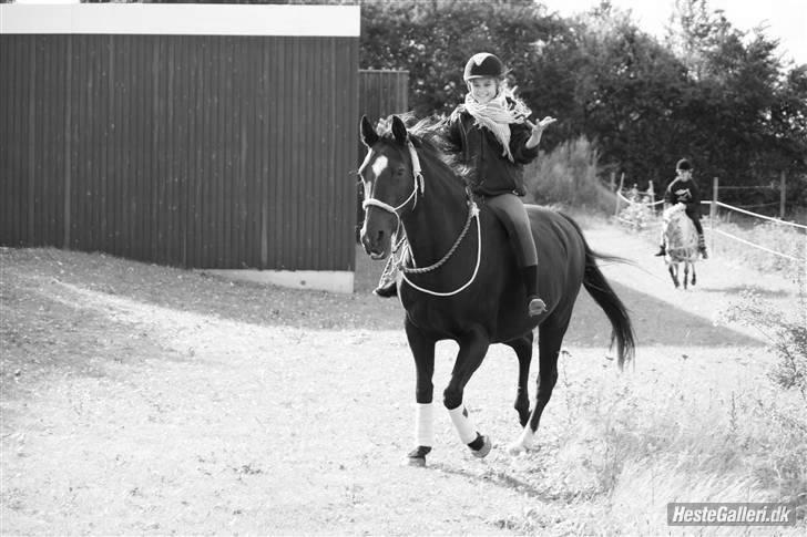 Anden særlig race Pashin <3 tidl. part. - 18) Tossede og ualmindeligt glade! :´D Pashin du er savnet, jeg glemmer dig aldrig! [Fotograf: SAC 5.09.09] billede 19