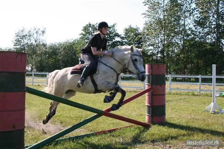 Anden særlig race Miss Dulle(SOLGT) billede 2