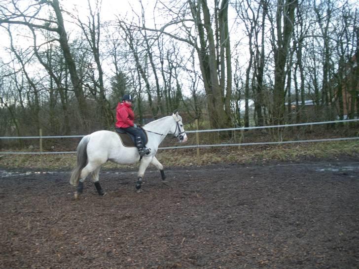 Anden særlig race chili - ja skridt for lange tøjler det er skønt billede 2