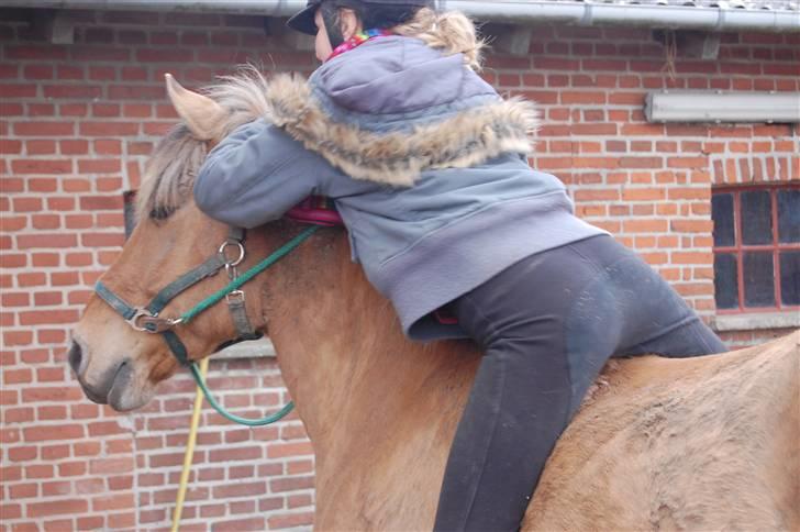 Anden særlig race Lukas (gammel part) billede 4