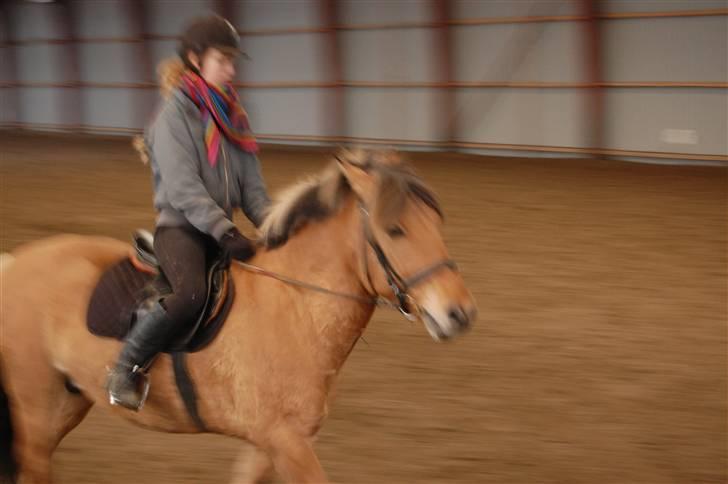 Anden særlig race Lukas (gammel part) billede 6