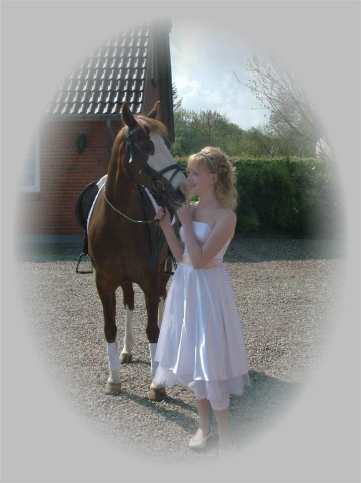 DSP Ofelia  billede 2