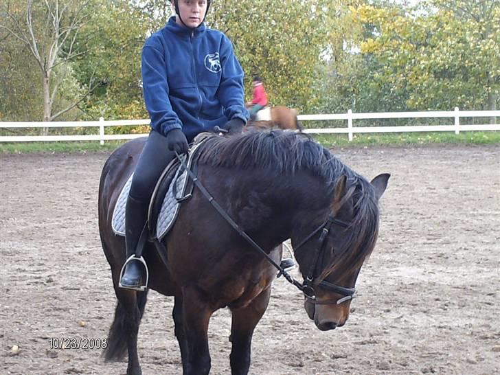 Anden særlig race Ambrosius. billede 1