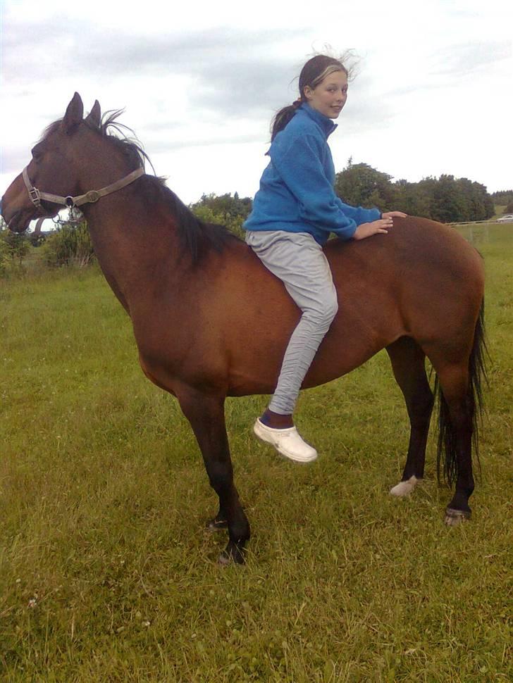 Anden særlig race Pretty Princess*Solgt* - Baglæns, fordi det er os? billede 16