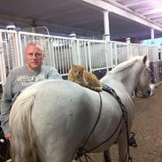 New Forest roløkke tokaji 