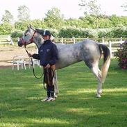 Anden særlig race Puffy