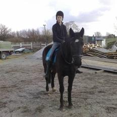 Oldenborg Osandt Hjortelund SOLGT:(