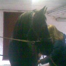 Oldenborg Osandt Hjortelund SOLGT:(