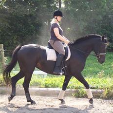 Oldenborg Night Light Tolstrup