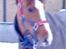 Welsh Pony (sec B) Puma 