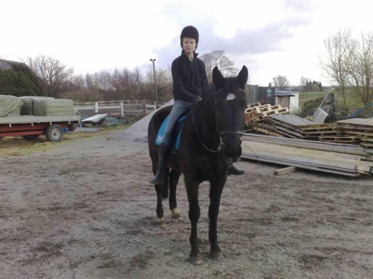 Oldenborg Osandt Hjortelund SOLGT:( - Min kusine og Osandt billede 1