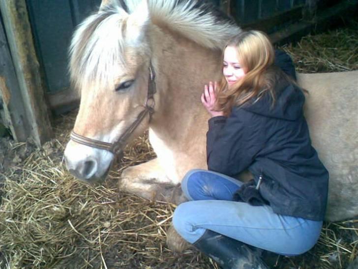 Fjordhest Susan Bøgevang - Min kusine og susan billede 6
