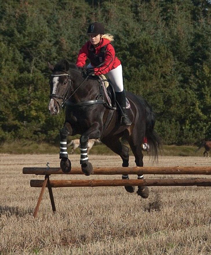 Dansk Varmblod Giza - Giza & jeg, debut i jagtridning d. 26.09.10 i Hals rideklub, jagten blev fuldført med flotte spring over hver forhindring :D billede 15