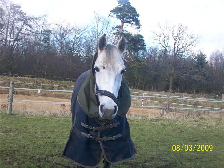 Anden særlig race Miss behaven<3 - Søde Misse med jord i pandelokken billede 9