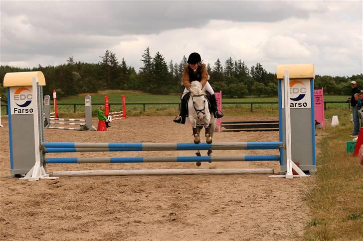 Welsh Pony (sec B) | windy  - holdspringning i farsø.. billede 4