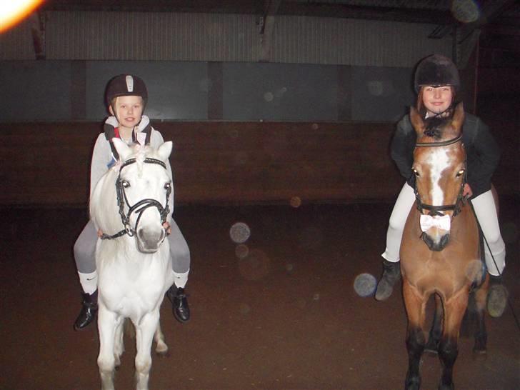 New Forest Prins<3 (Gamle part) billede 6