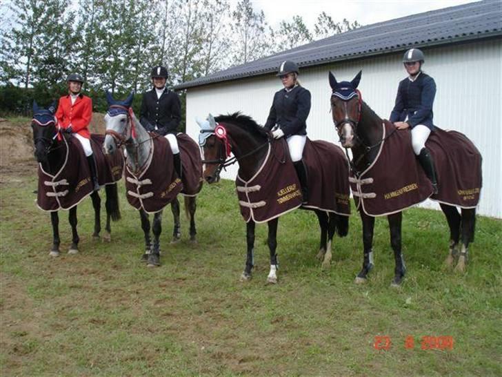 Dansk Varmblod Cavan<3 SOLGT  - Fra.V: Åse,Mia, Pernille(mig) Stine billede 2