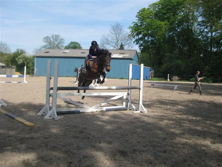 New Forest Napoli (R.I.P).<3 - min vbedste veninde sabina<3:D billede 2