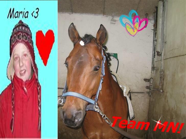 New Forest Napoli (R.I.P).<3 - vi er de bedtse<33 billede 5