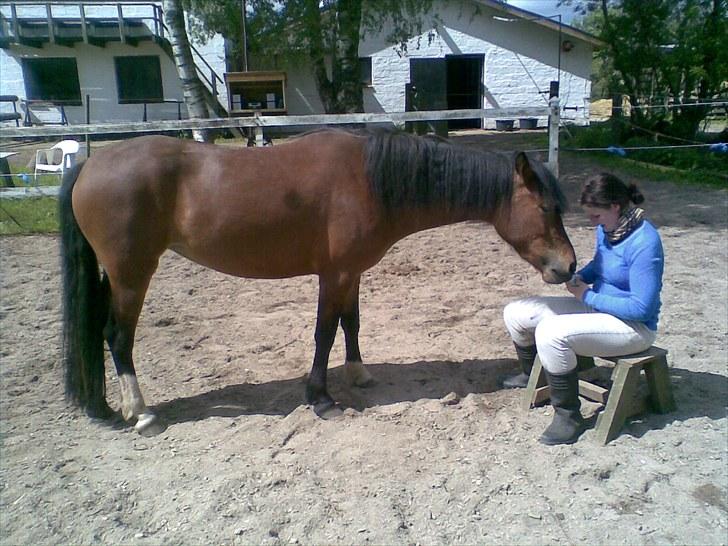 Anden særlig race Sperlings Amber - Amber venter på at jeg giver hende flere Polo-pastiller :) (Maj 2010) billede 7