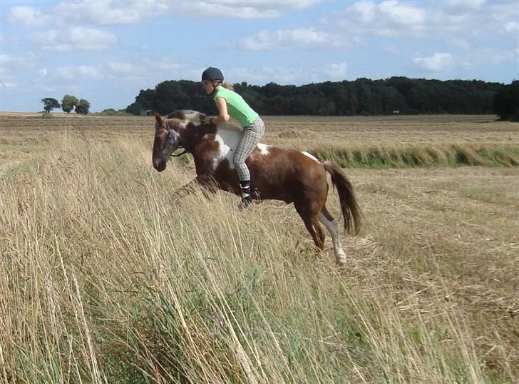 Anden særlig race - Warzakki :')  - 18 | Med dig går alting meget nemmere og sjovere! Jeg kender intet bedre end dig. Elsker dig. Mor er fotografen d. 16.08.09 billede 18