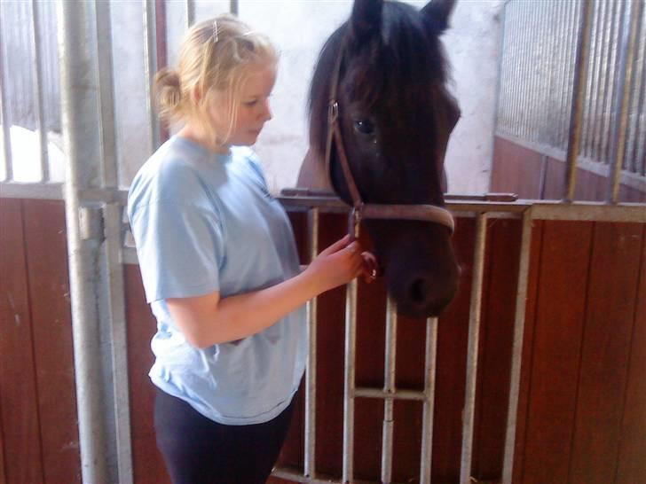 Anden særlig race Black Shadow - Solgt - sommer ferie hos farmor 2008 billede 19