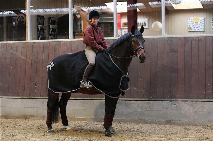 Dansk Varmblod †Timon† - Marts 2009 billede 18