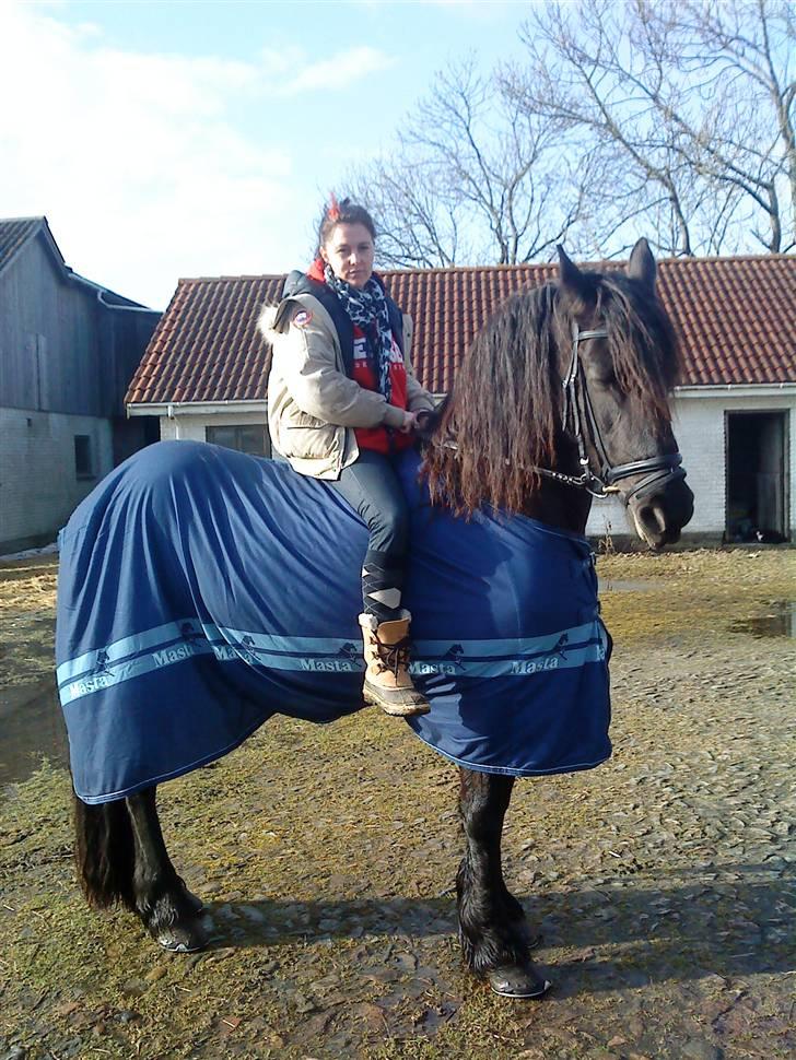 Frieser Femke *solgt :'(* billede 10