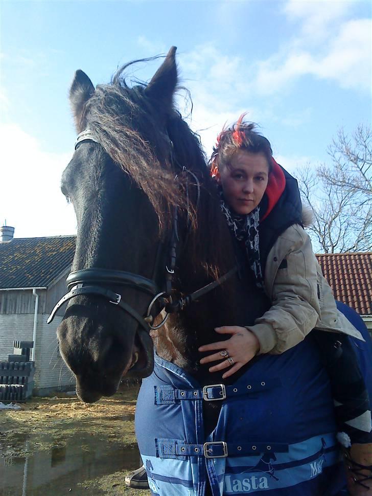 Frieser Femke *solgt :'(* billede 11