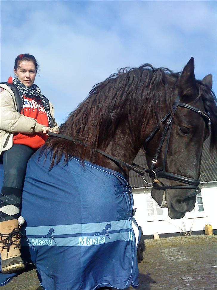 Frieser Femke *solgt :'(* billede 12