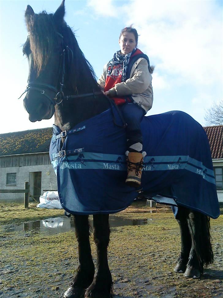 Frieser Femke *solgt :'(* billede 13