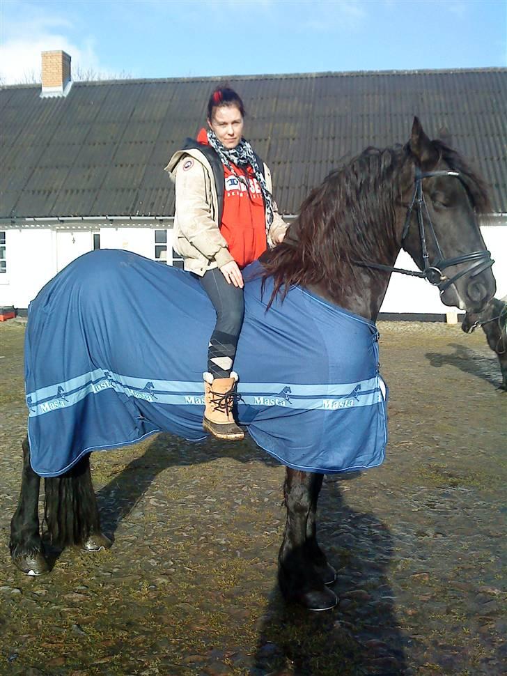 Frieser Femke *solgt :'(* billede 14