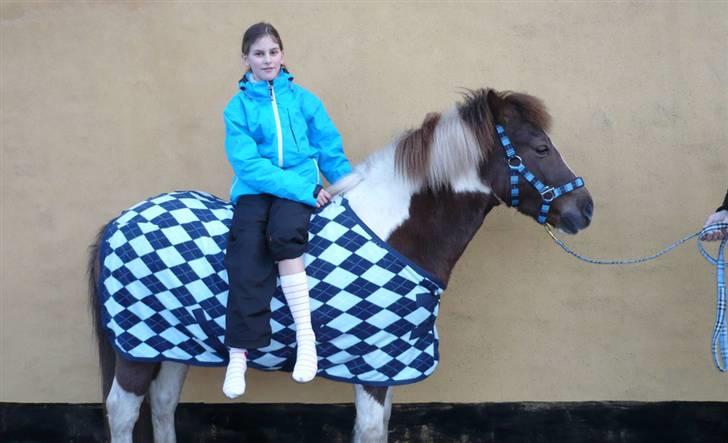 Anden særlig race Nordens Tequila Sunraise - Her sidder jeg på Tequila igen, denne gang med begge ben på samme side.  billede 20