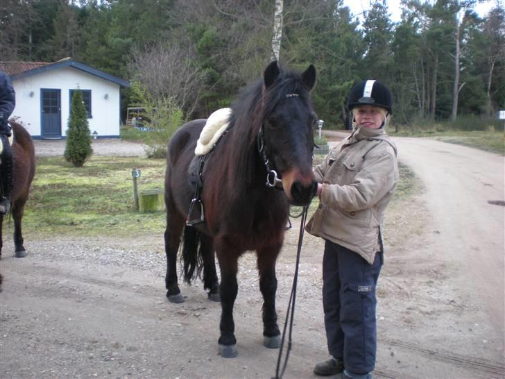 Anden særlig race Viktor (solgt) ;( - Dejlig tur! billede 9