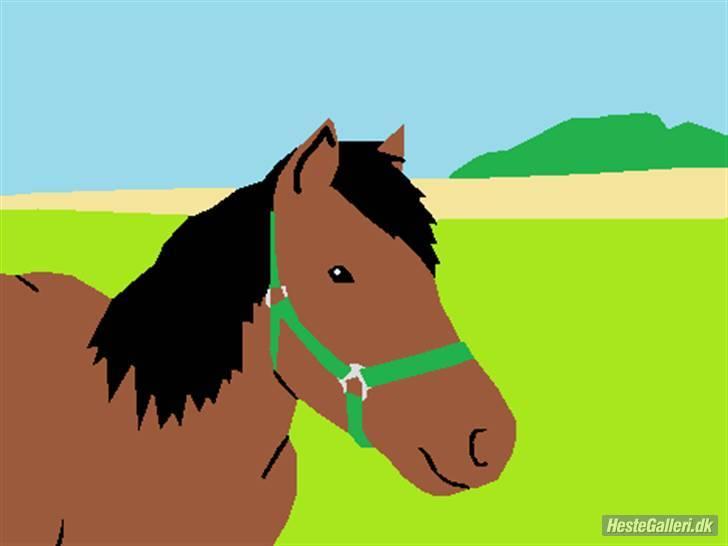 Anden særlig race Moonlight *SOLGT* billede 17