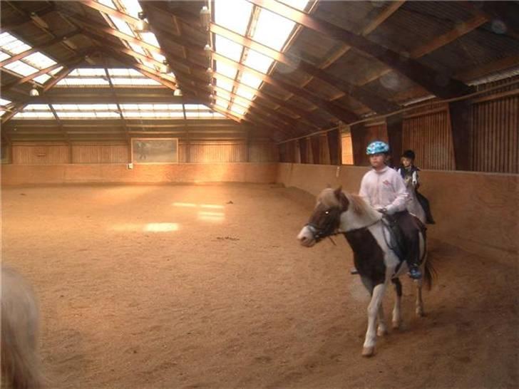 Anden særlig race Indianajones <333 R.I.P - Trav. billede 12