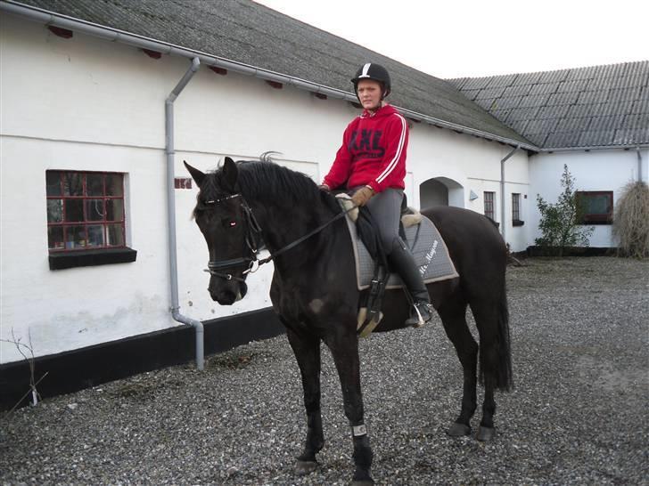 Pinto Miss June *solgt* billede 12