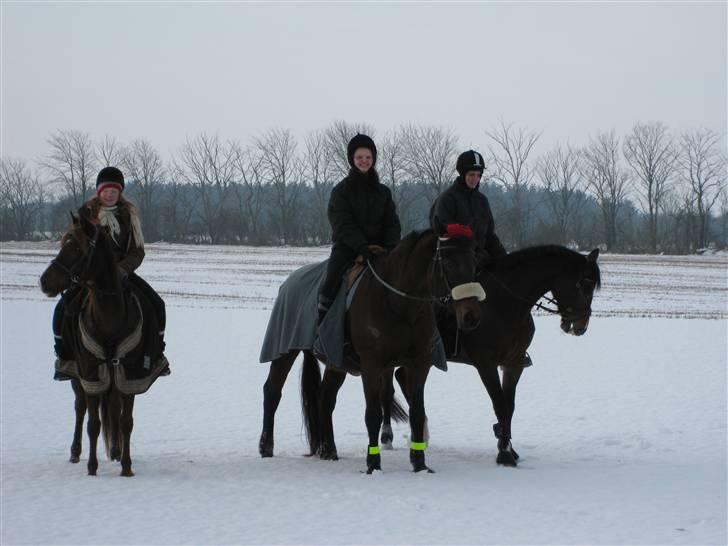 Oldenborg | Felina - Juleaftensdag (: FOTO: Kim (: billede 13