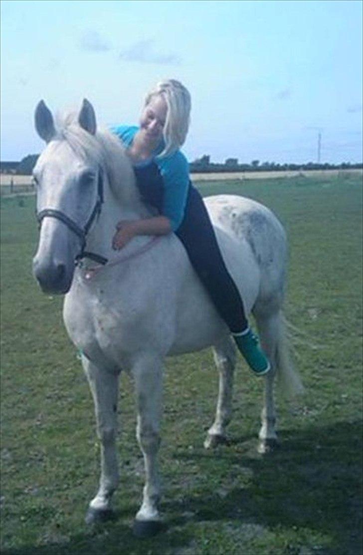 Anden særlig race Filur*Gl.Part*:'/(himmelhest) - Dejlige mig og ham<3 - foto mette s<3 taaak miiin<3 billede 12