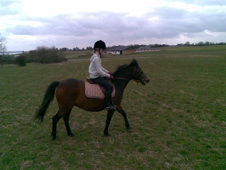 Anden særlig race ¤Liva¤ - Rider.. Mega dårligt :/ billede 5