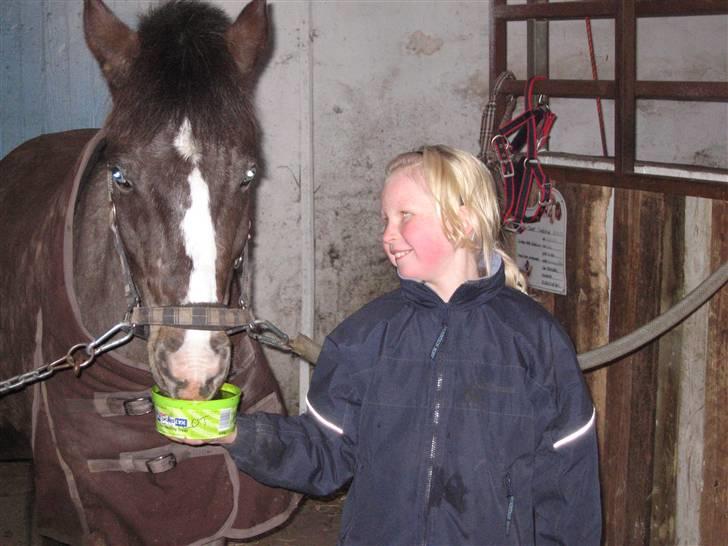 Anden særlig race Merlot Solgt+Savnet:'( - Lækkert - men fedtet !! billede 6