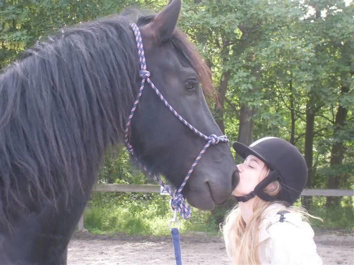 Frieser Oege af Birkelyst - Hygge med puttedyret <3 billede 4