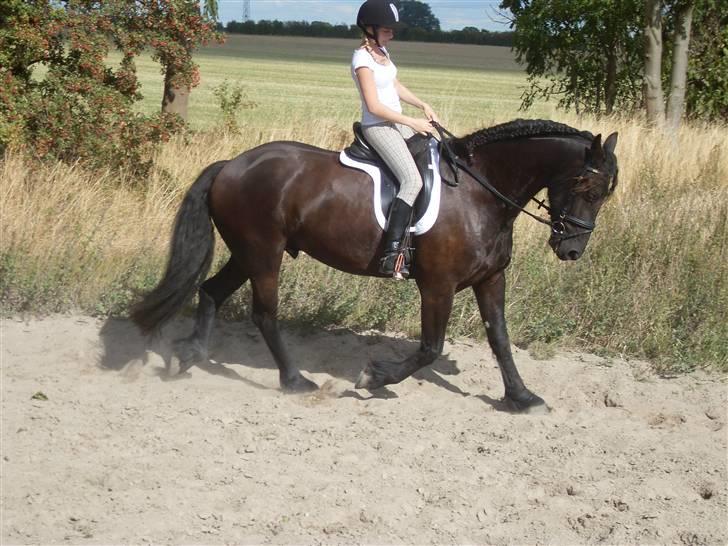 Frieser Oege af Birkelyst - Mig og min elskede stjerne den 11 sep 2009 <3 billede 6