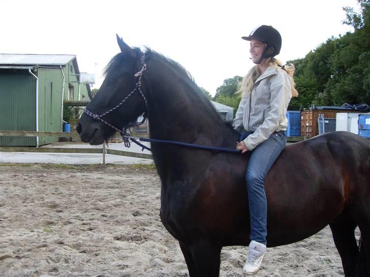 Frieser Oege af Birkelyst - Oege og jeg, en rigtig hygge dag <3 billede 7