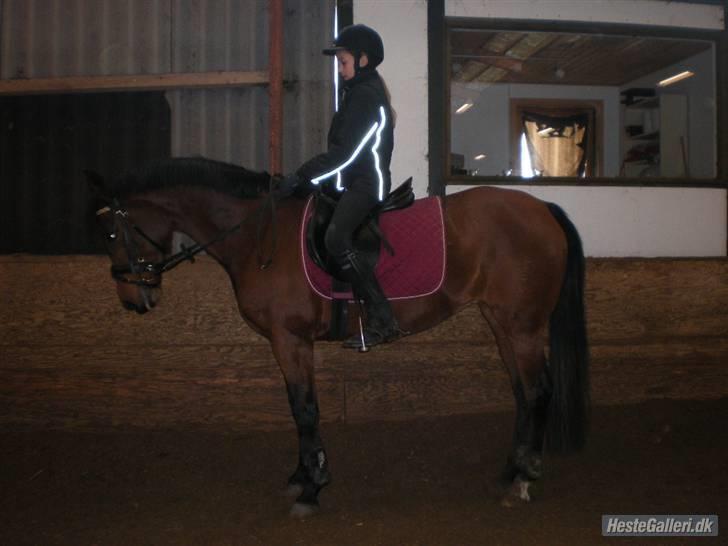 DSP Lille daugårds Tutsi - Parade :*  billede 10