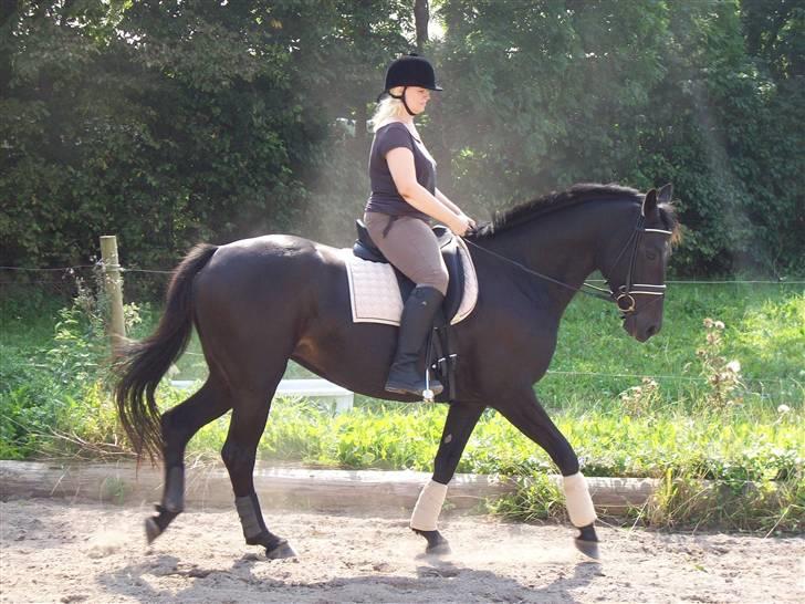 Oldenborg Night Light Tolstrup billede 1