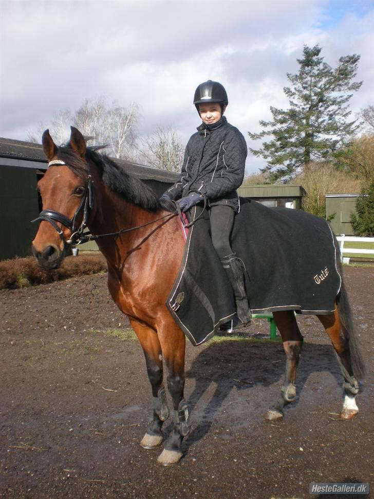 DSP Lille daugårds Tutsi - Min smukke pony :*  billede 12
