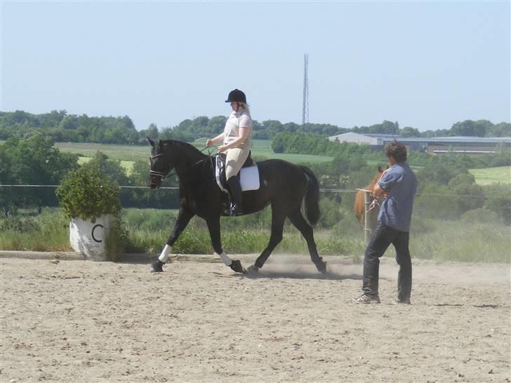 Oldenborg Night Light Tolstrup billede 4