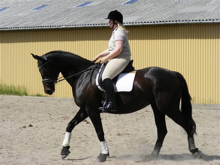 Oldenborg Night Light Tolstrup billede 5