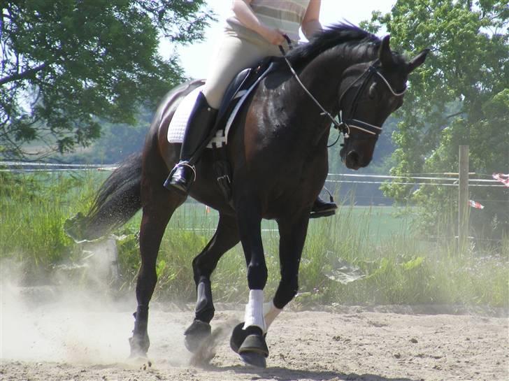 Oldenborg Night Light Tolstrup billede 6